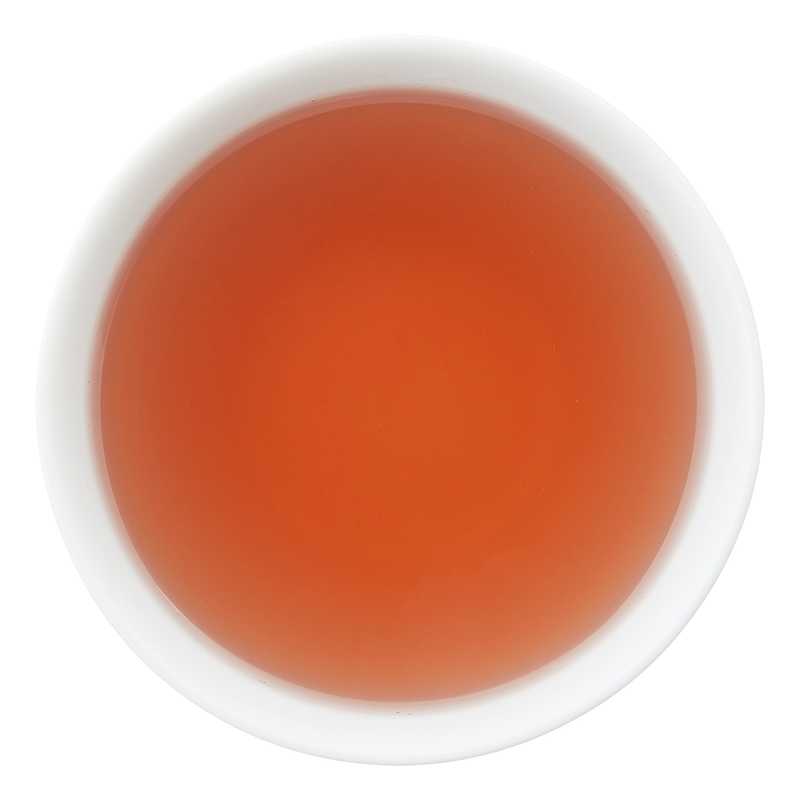 GROOVE Sound of Summer (Bio)