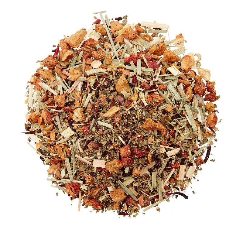 GROOVE Sound of Summer (Bio)